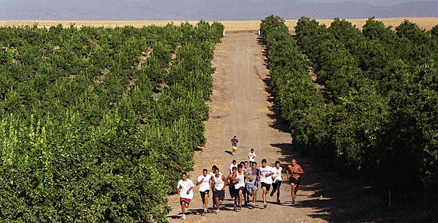 Running Lives opener top